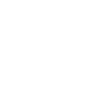 Icon zalo white